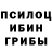 Псилоцибиновые грибы Psilocybine cubensis deadsheep