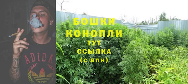 ГАЛЛЮЦИНОГЕННЫЕ ГРИБЫ Баксан