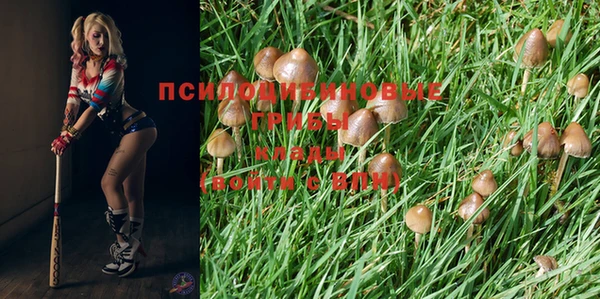 ГАЛЛЮЦИНОГЕННЫЕ ГРИБЫ Баксан
