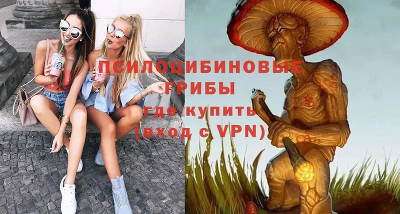 Псилоцибиновые грибы Psilocybe  МЕГА вход  Белоярский 