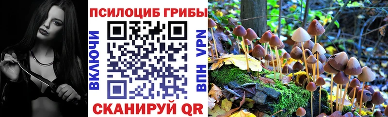 Псилоцибиновые грибы Cubensis  где найти наркотики  Белоярский 